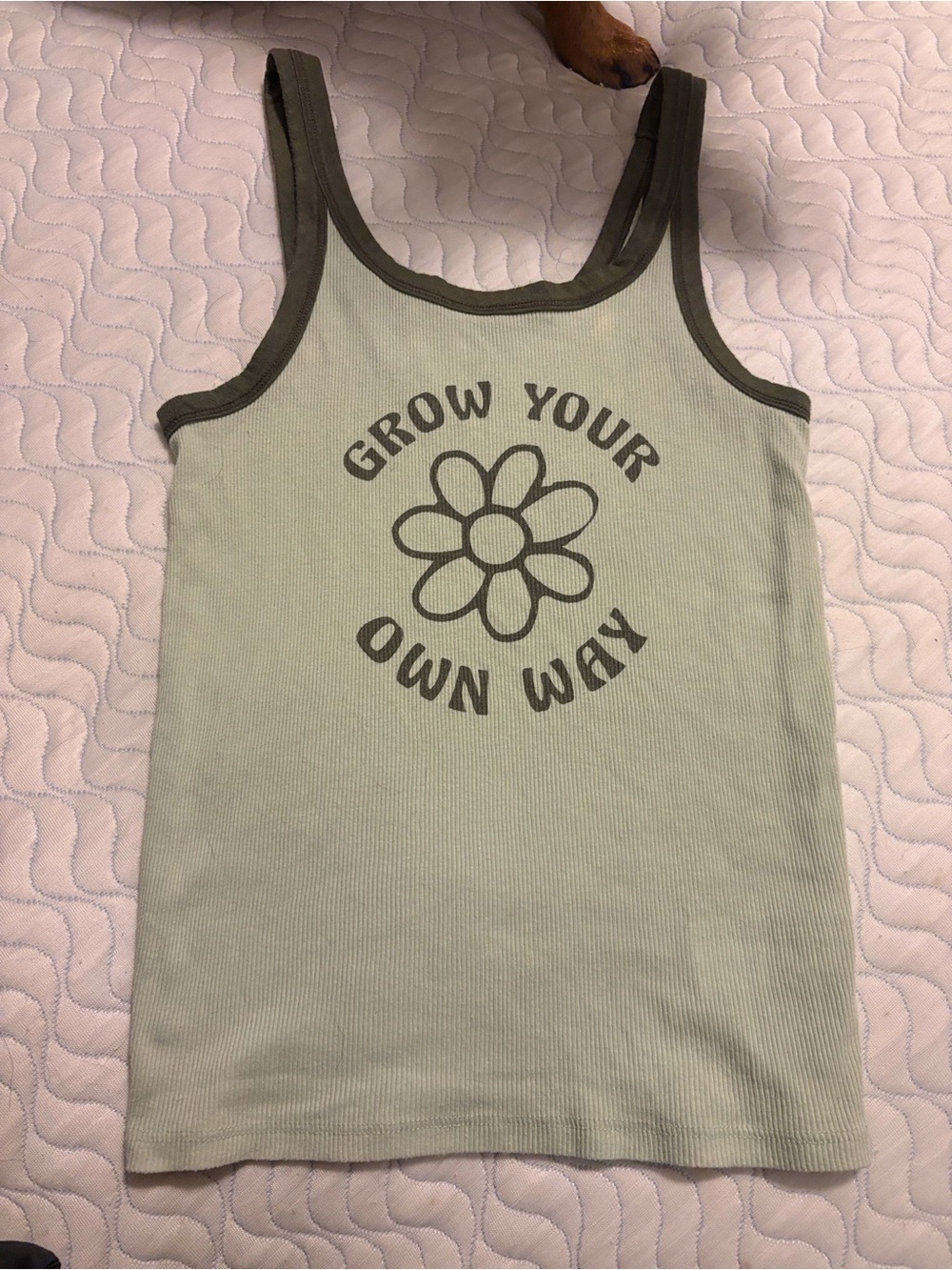 American Eagle Outfitters Sage Green Tank with Dark Olive Trim & Flower Graphic